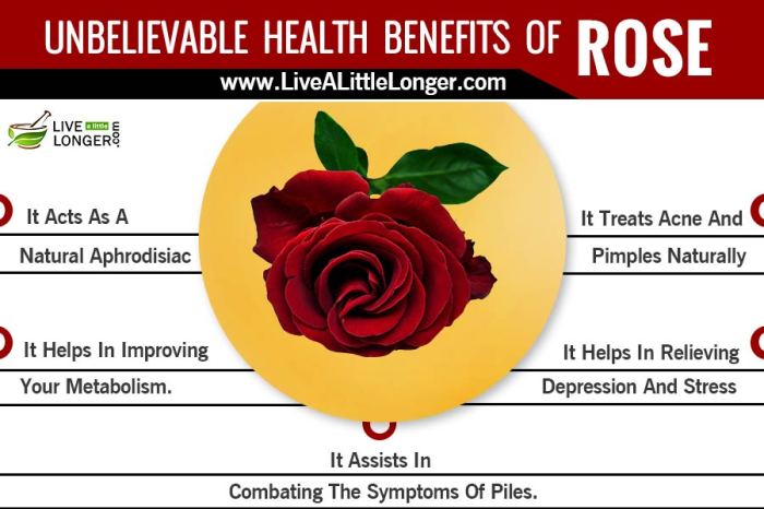 What are the nutrition facts of roses